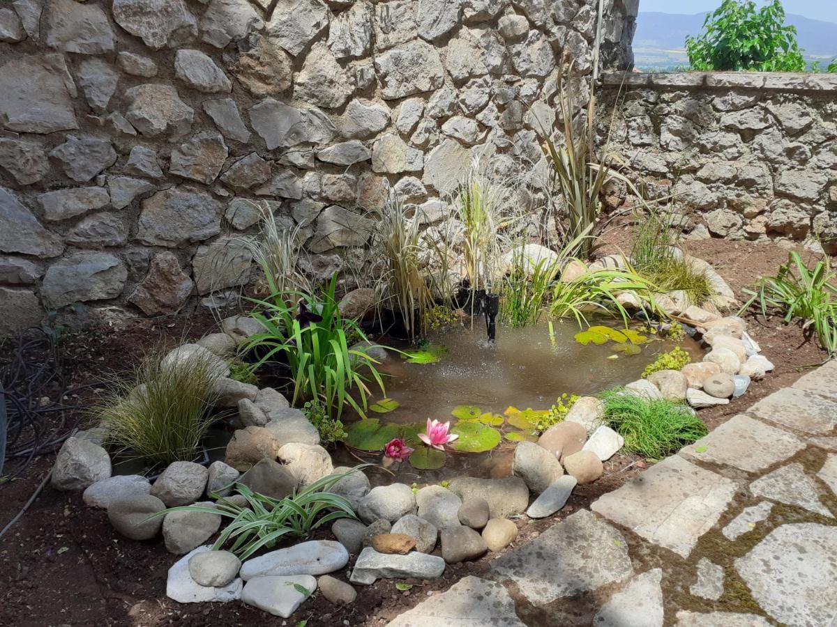 Agoriani Art Suite - 4 Seasons' Natural Living Lilaia Екстер'єр фото